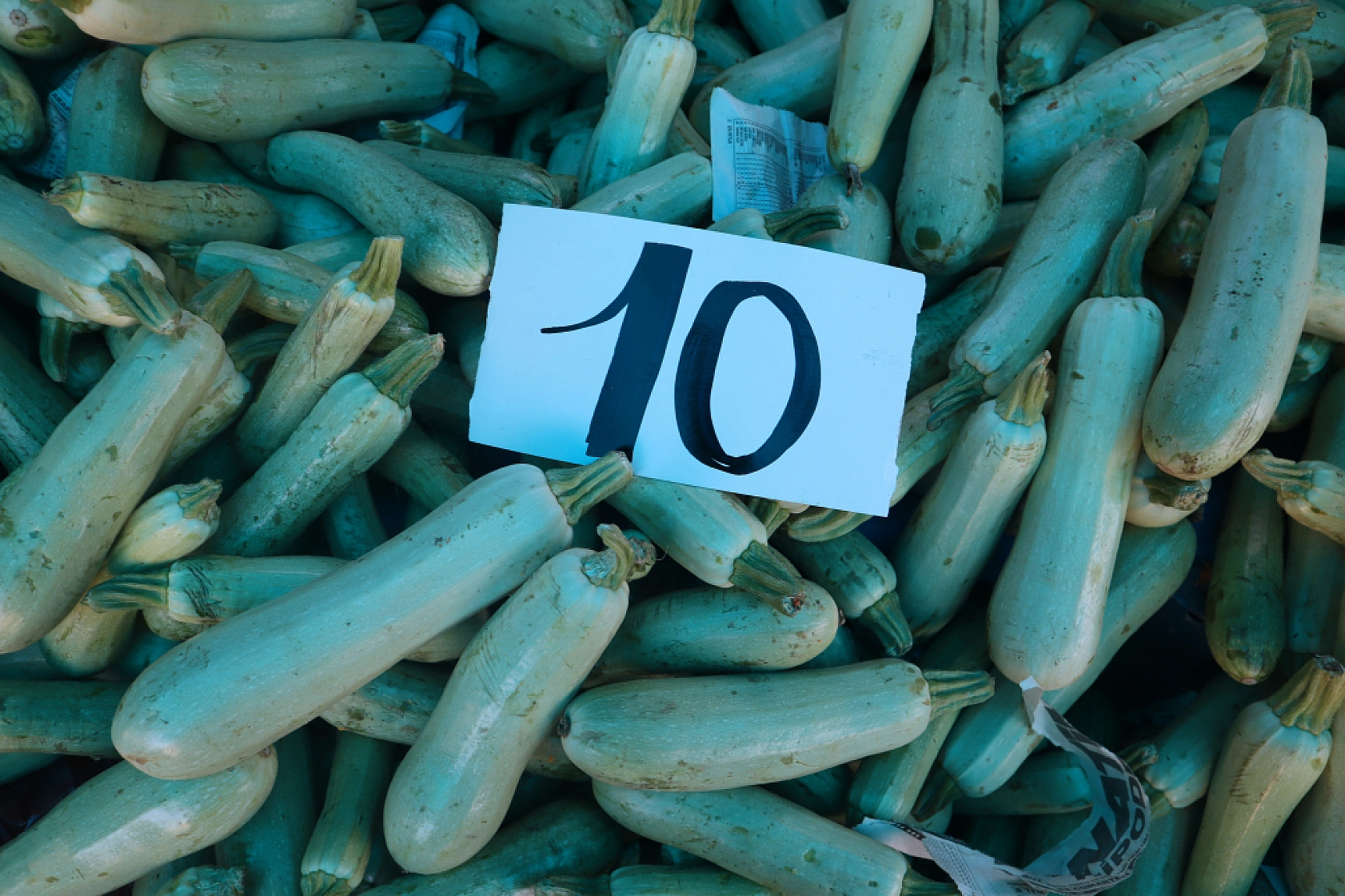 Malatya'da Kurban Bayramı Sonrası Semt Pazarlarında Hareketlilik: Fiyatlar Düşüşte!