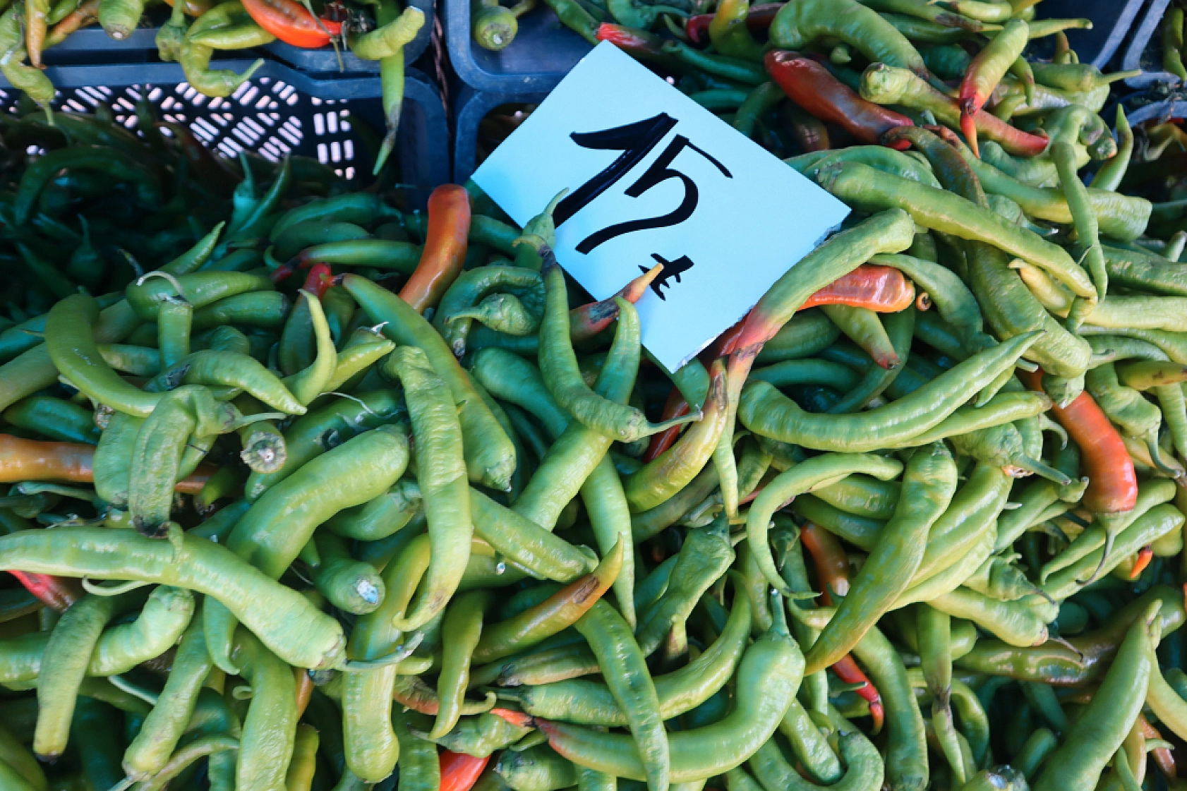 Malatya'da Kurban Bayramı Sonrası Semt Pazarlarında Hareketlilik: Fiyatlar Düşüşte!