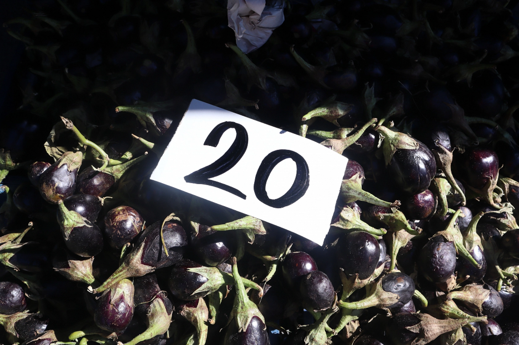 Malatya'da Kurban Bayramı Sonrası Semt Pazarlarında Hareketlilik: Fiyatlar Düşüşte!