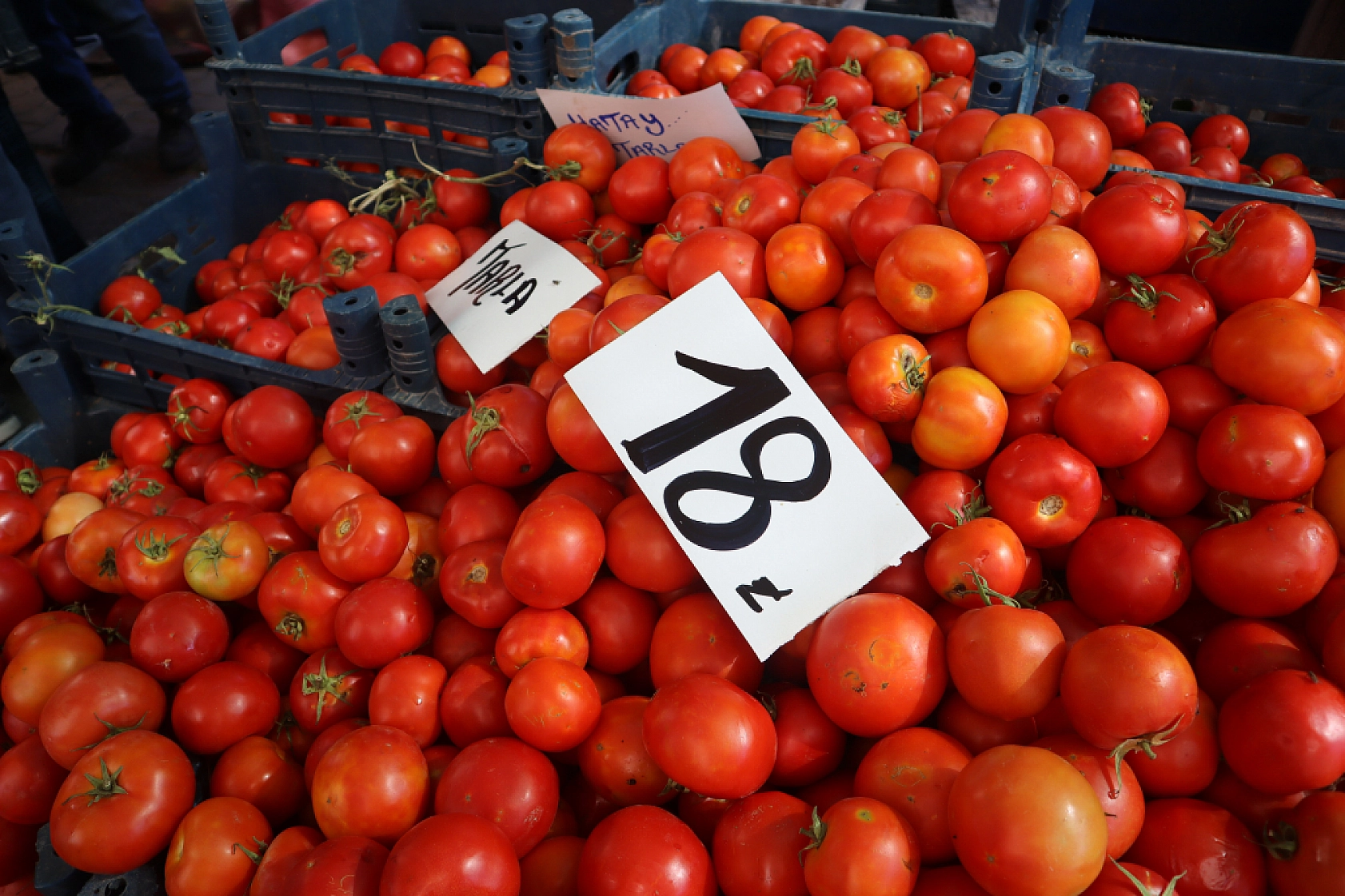 Malatya'da Kurban Bayramı Sonrası Semt Pazarlarında Hareketlilik: Fiyatlar Düşüşte!