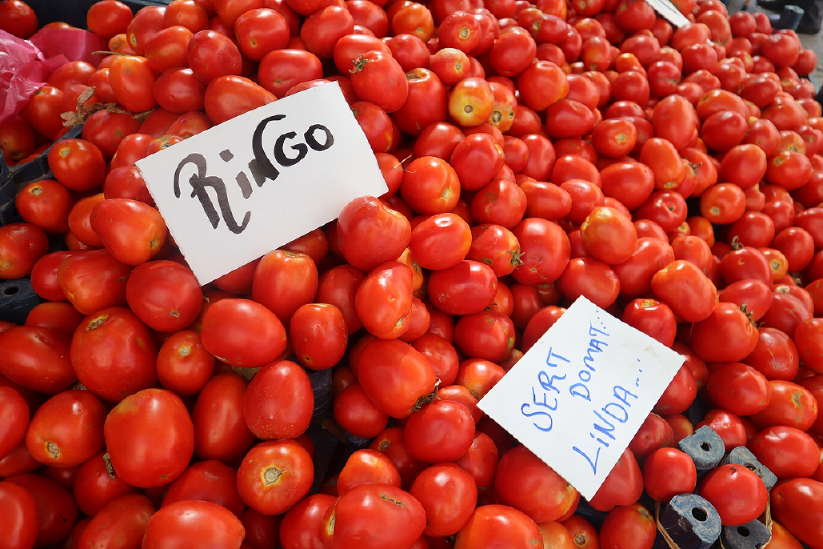 Malatya'da Kurban Bayramı Sonrası Semt Pazarlarında Hareketlilik: Fiyatlar Düşüşte!