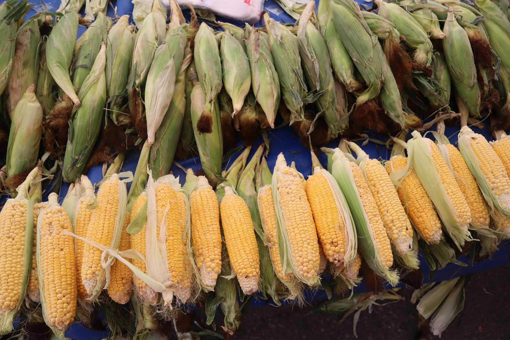 Malatya'da Kurban Bayramı Sonrası Semt Pazarlarında Hareketlilik: Fiyatlar Düşüşte!