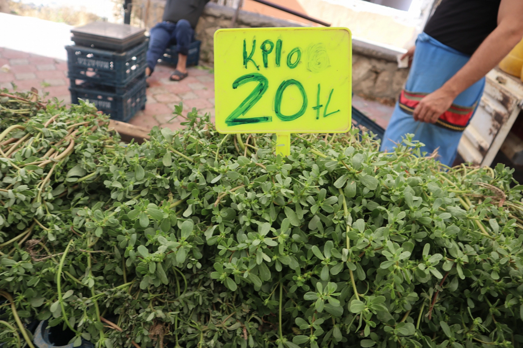 Malatya'da Kurban Bayramı Sonrası Semt Pazarlarında Hareketlilik: Fiyatlar Düşüşte!