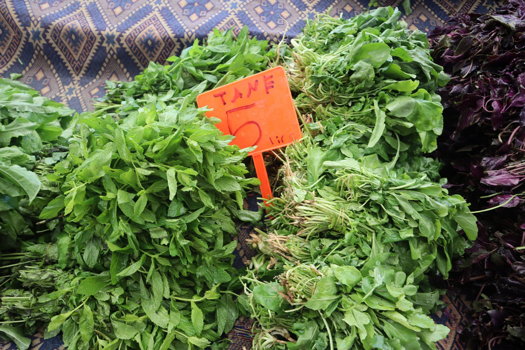 Malatya'da Kurban Bayramı Sonrası Semt Pazarlarında Hareketlilik: Fiyatlar Düşüşte!