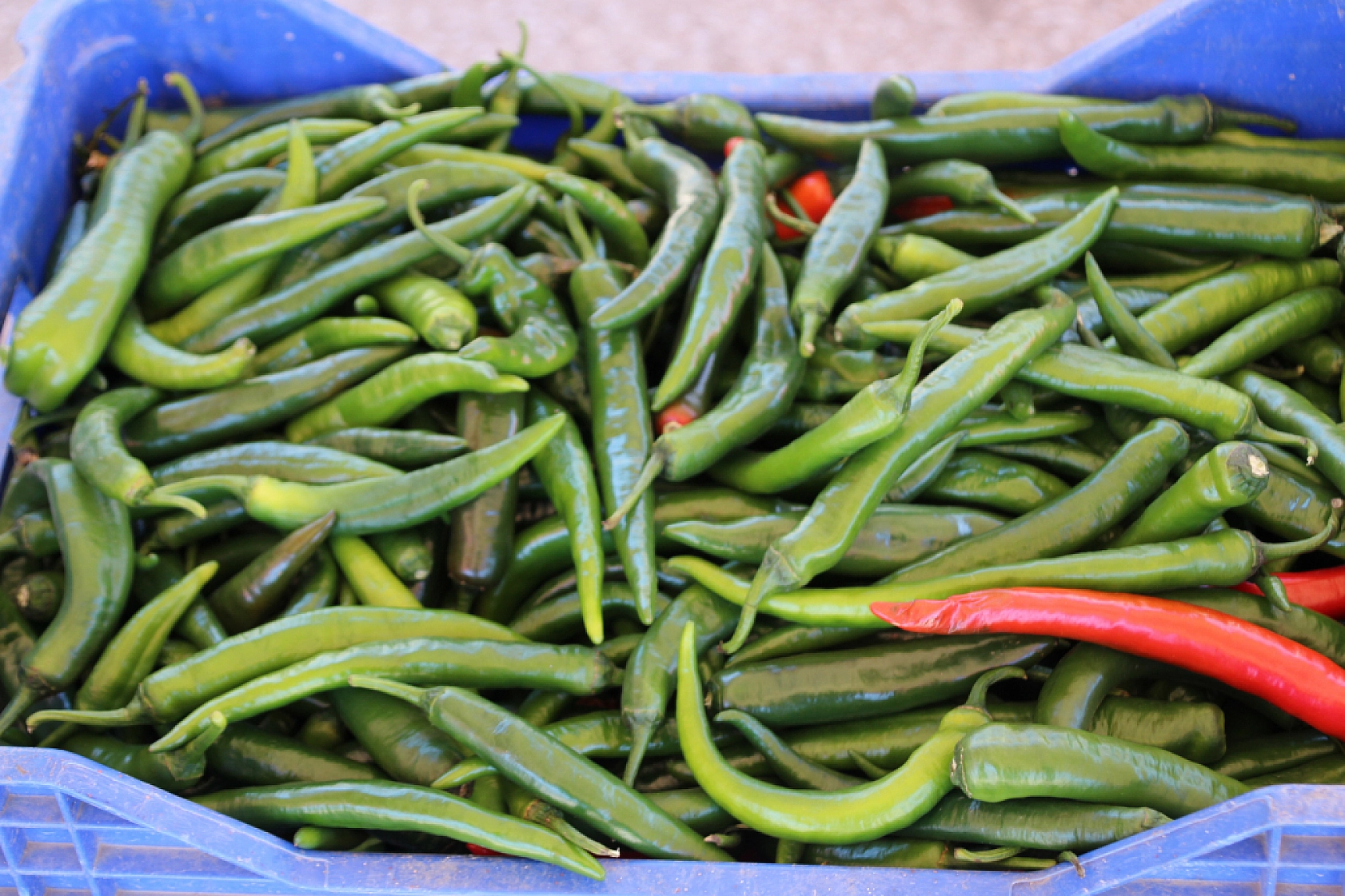 Malatya Yaş Sebze ve Meyve Hali'nde fiyatlar düştü mü?