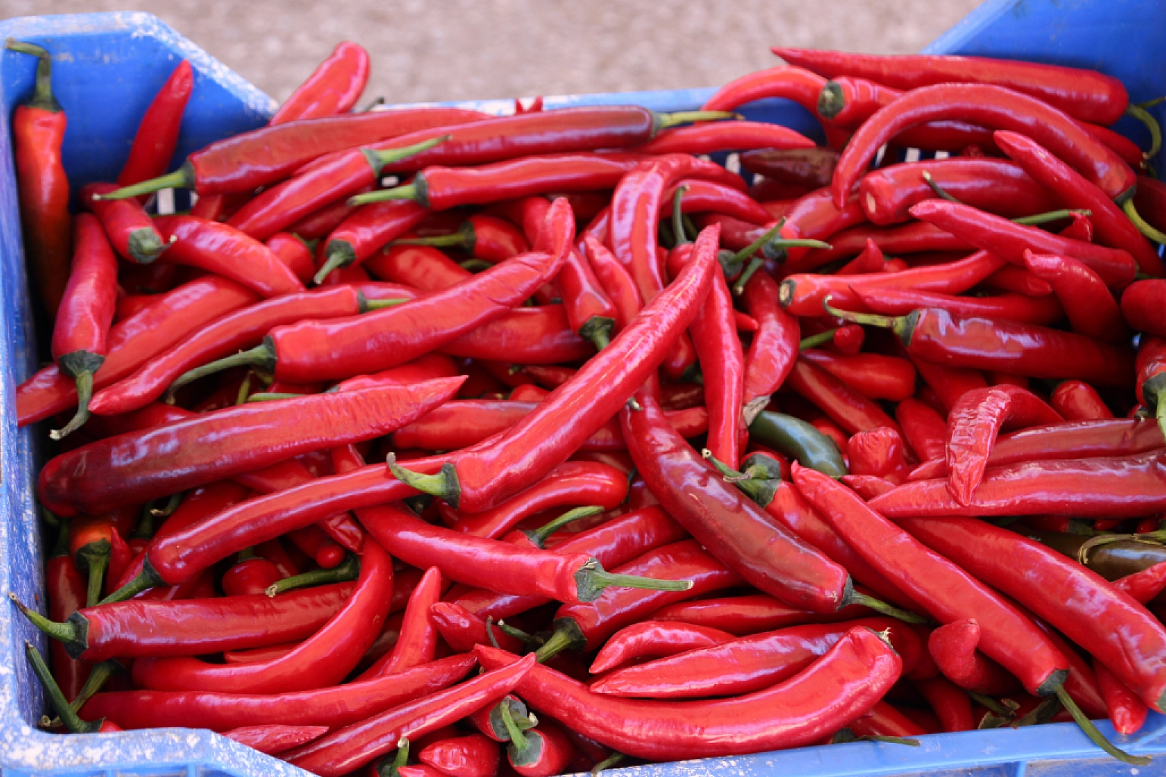 Malatya Yaş Sebze ve Meyve Hali'nde fiyatlar düştü mü?