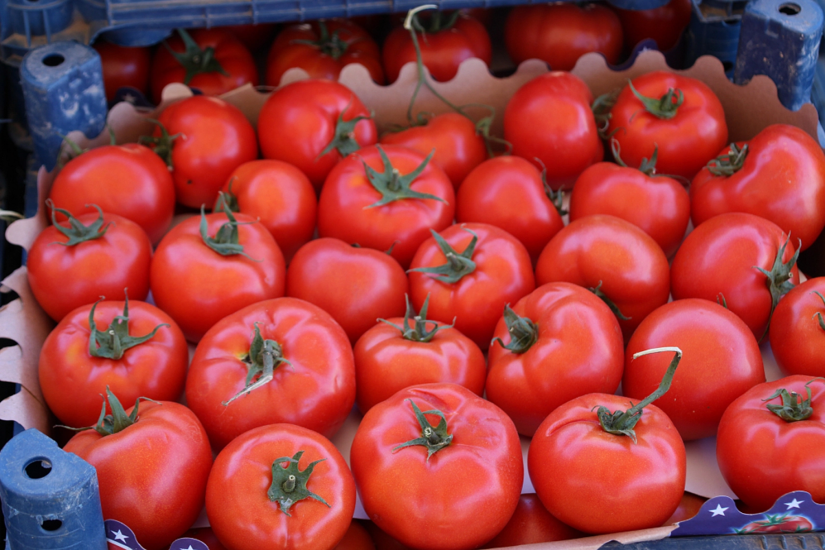 Malatya Yaş Sebze ve Meyve Hali'nde fiyatlar düştü mü?