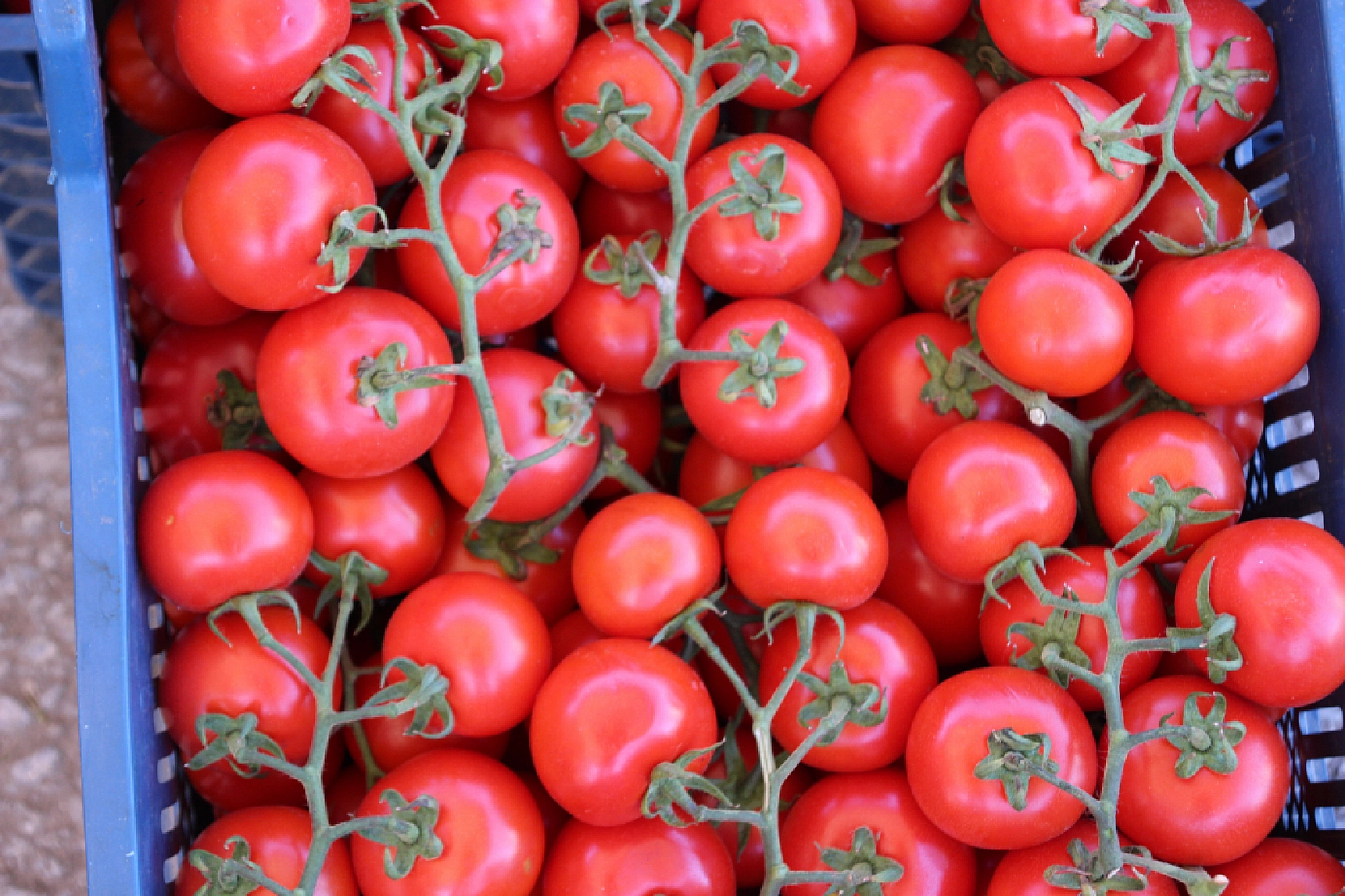 Malatya Yaş Sebze ve Meyve Hali'nde fiyatlar düştü mü?