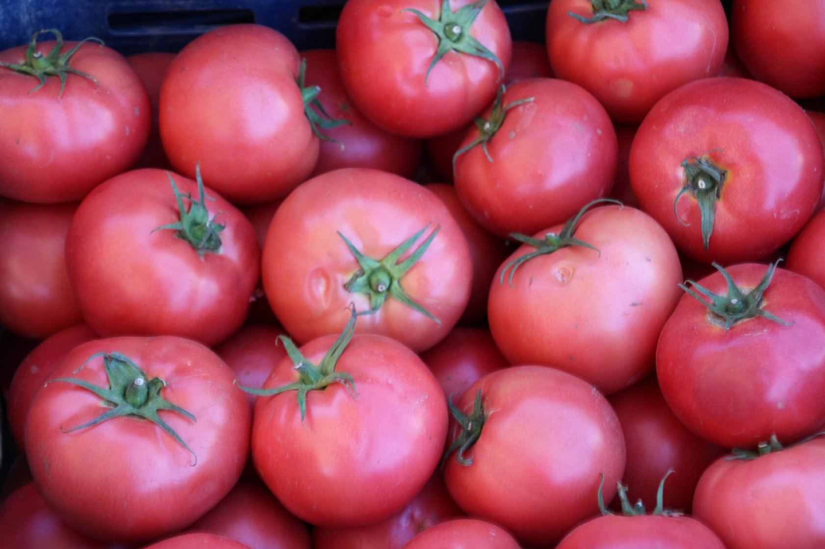 Malatya Yaş Sebze ve Meyve Hali'nde fiyatlar düştü mü?