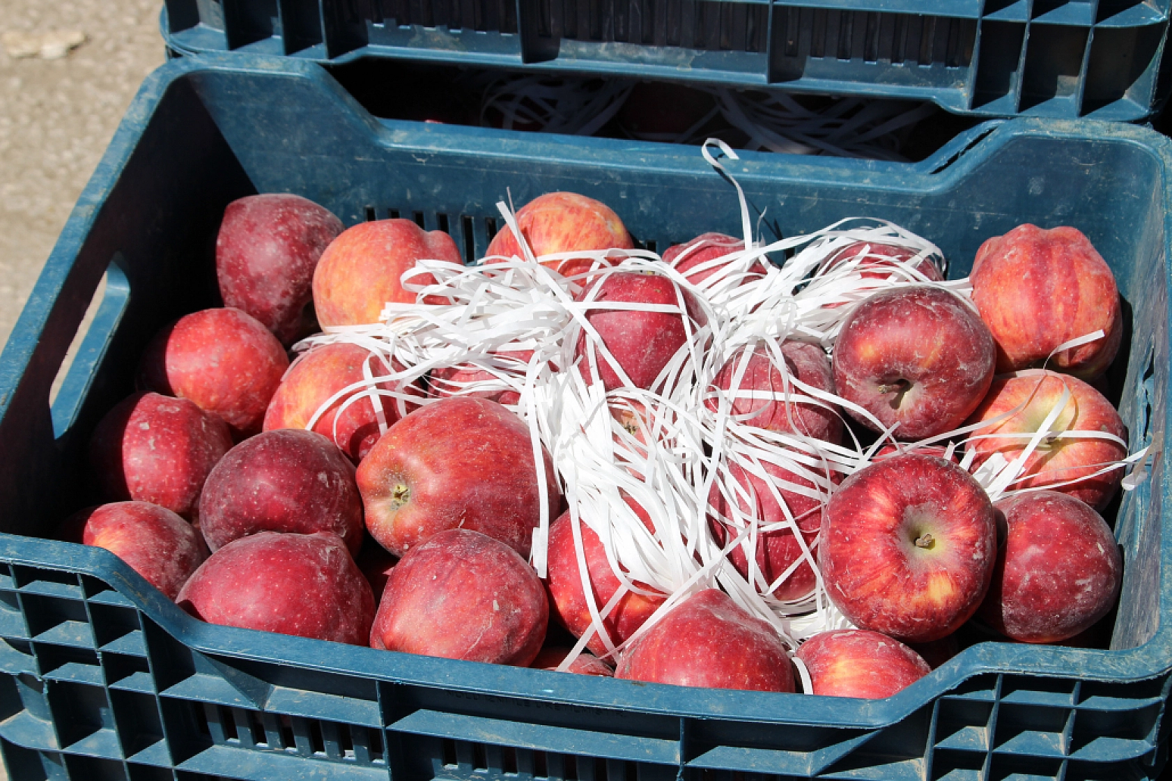 Malatya Yaş Sebze ve Meyve Hali'nde fiyatlar düştü mü?