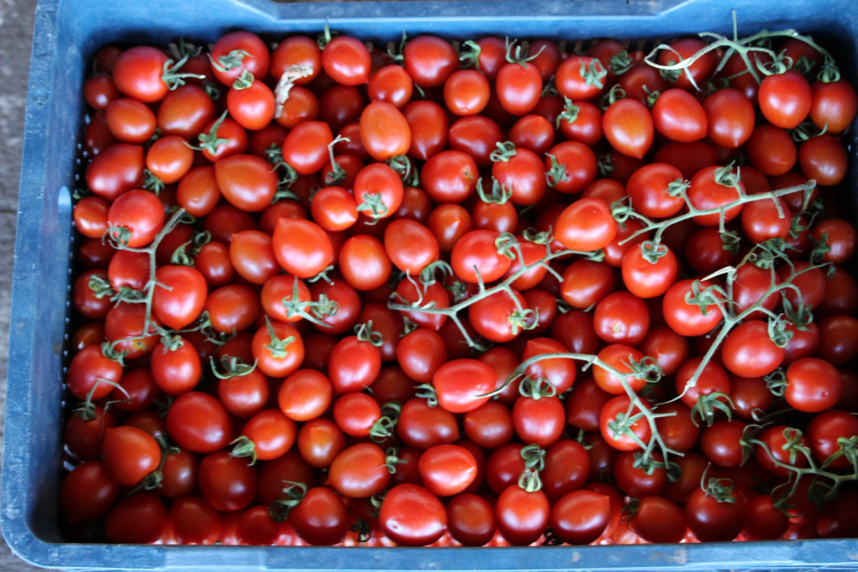 Malatya Yaş Sebze ve Meyve Hali'nde fiyatlar düştü mü?