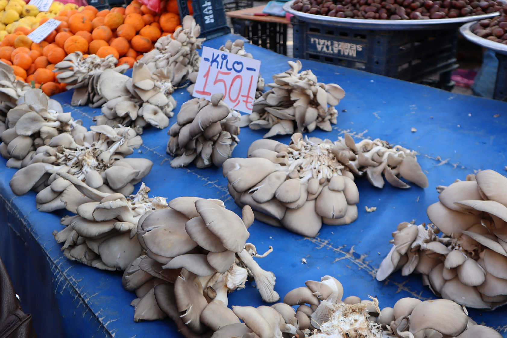 Market Fiyatları Yükseldi! Vatandaş Semt Pazarlarına Akın Etti! İşte güncel Meyve Sebze Fiyatları...