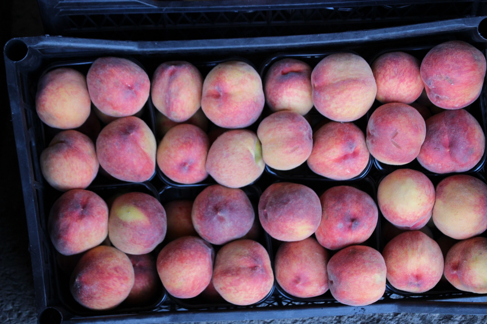 Malatya Yaş Sebze ve Meyve Hali'nde fiyatlar düştü mü?