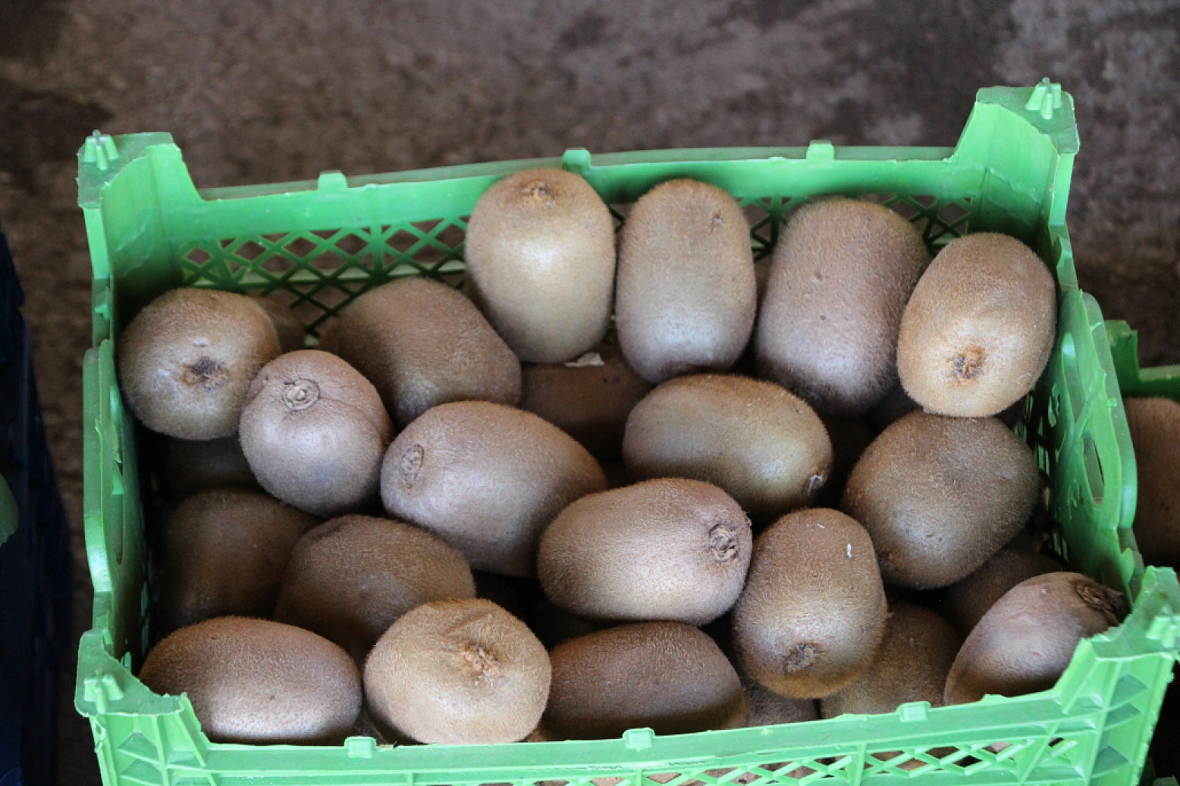 Malatya Yaş Sebze ve Meyve Hali'nde fiyatlar düştü mü?