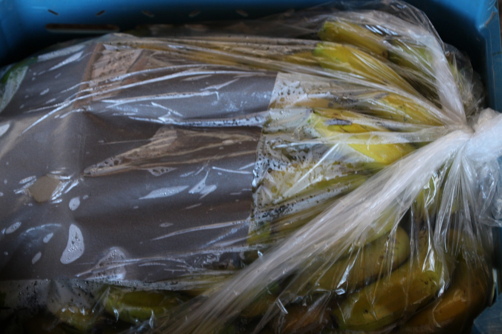 Malatya Yaş Sebze ve Meyve Hali'nde fiyatlar düştü mü?