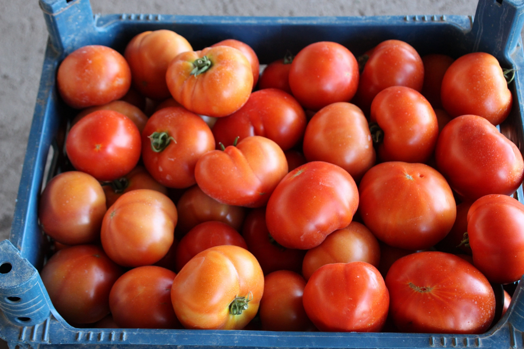 Malatya Yaş Sebze ve Meyve Hali'nde fiyatlar düştü mü?