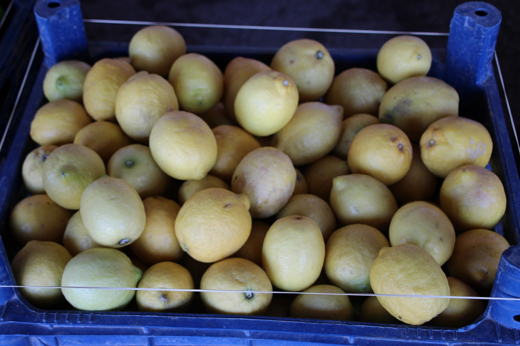 Malatya Yaş Sebze ve Meyve Hali'nde fiyatlar düştü mü?