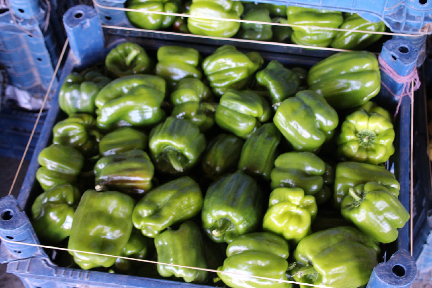 Malatya Yaş Sebze ve Meyve Hali'nde fiyatlar düştü mü?