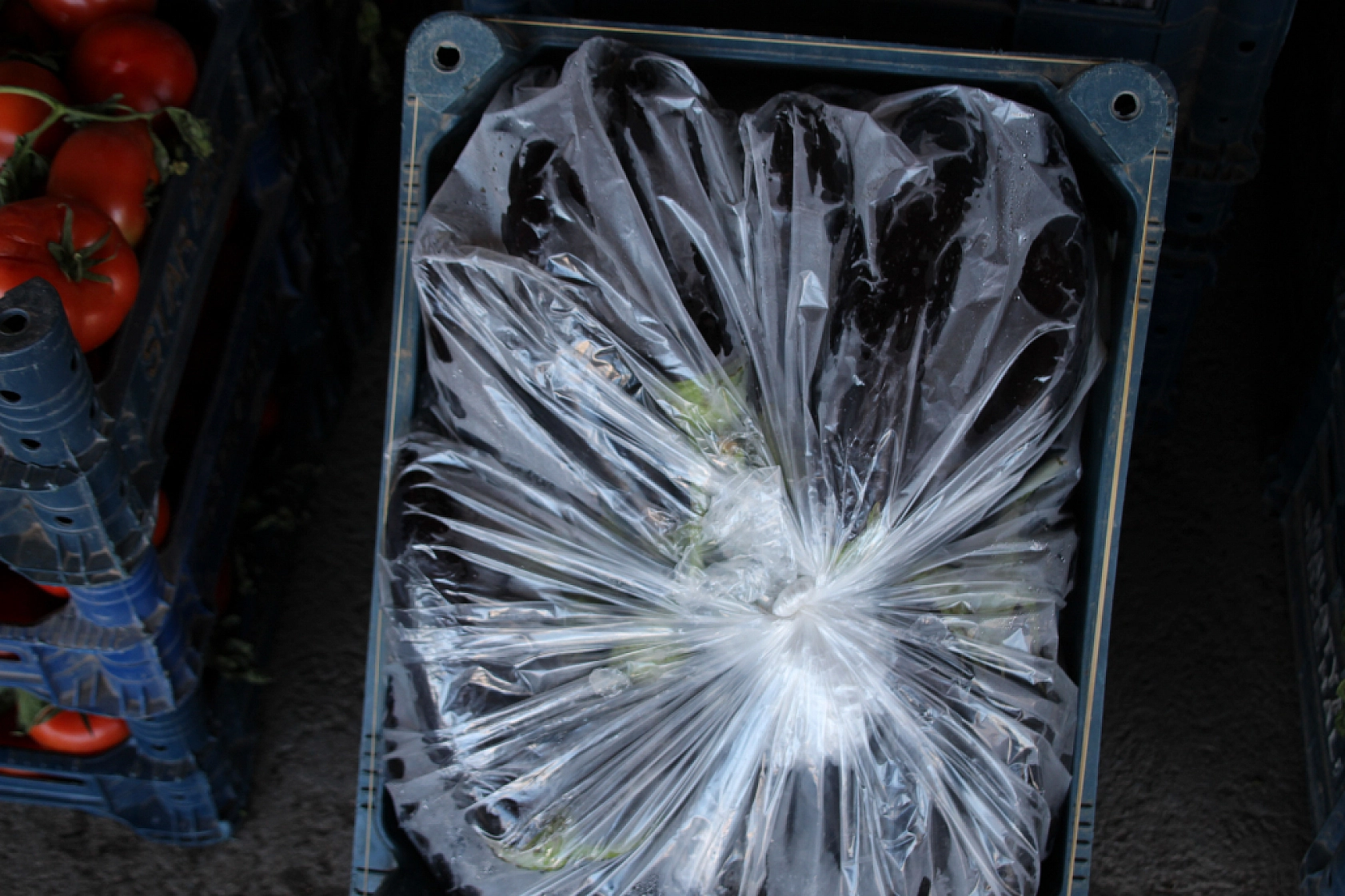 Malatya Yaş Sebze ve Meyve Hali'nde fiyatlar düştü mü?