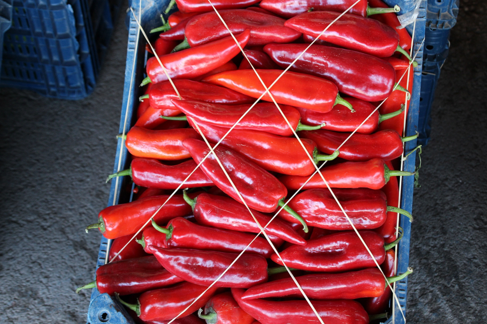 Malatya Yaş Sebze ve Meyve Hali'nde fiyatlar düştü mü?