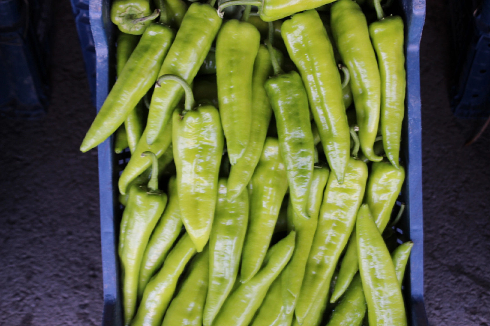 Malatya Yaş Sebze ve Meyve Hali'nde fiyatlar düştü mü?