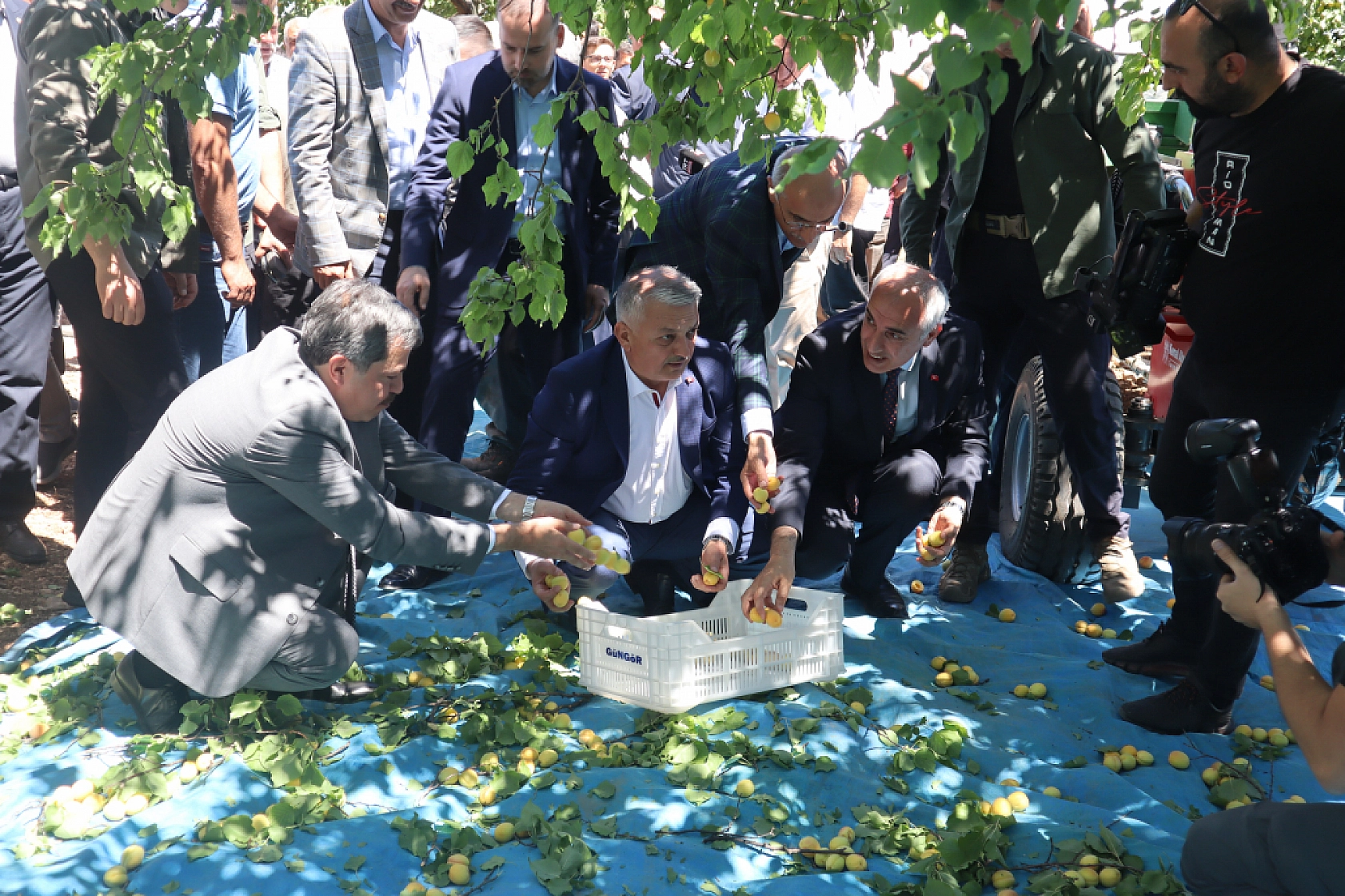 Malatya'da rekolte fazla tüccarlar yan gelip yatmasın!