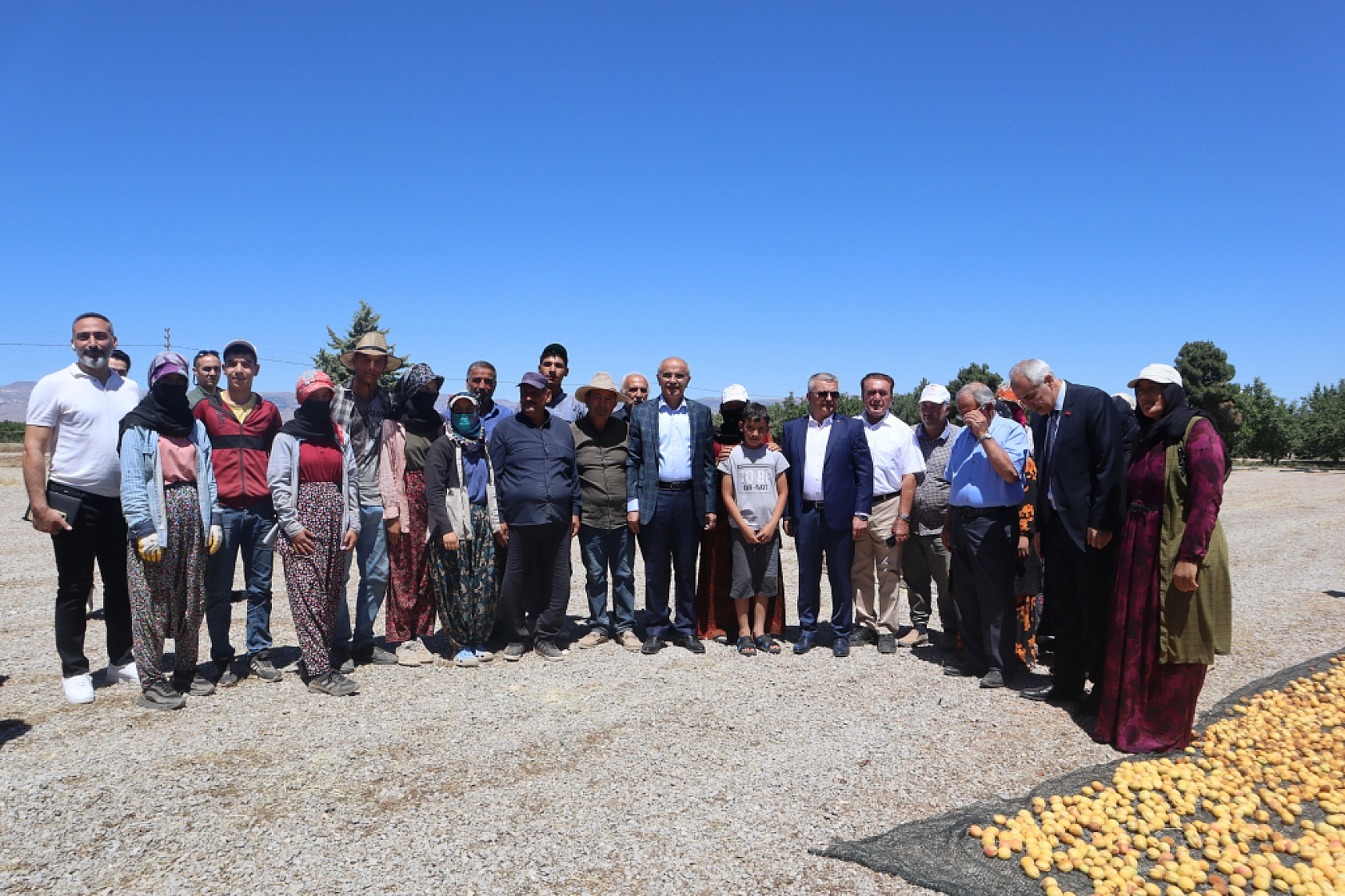 Malatya'da rekolte fazla tüccarlar yan gelip yatmasın!