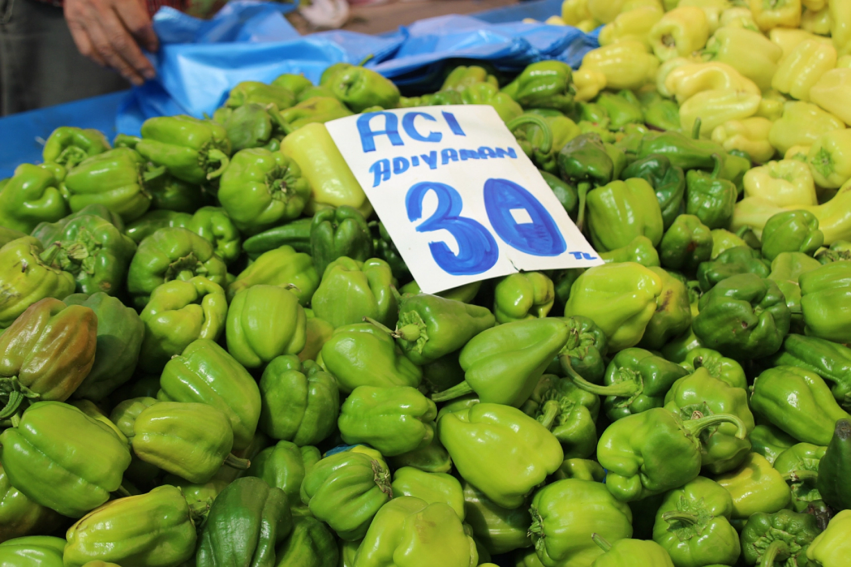 Malatyalılar Semt Pazarlarına yöneliyor! Peki, Meyve ve Sebze Ne Kadar? Fiyatlar Düştü Mü? İşte Güncel Cuma Pazarı Fiyatları...