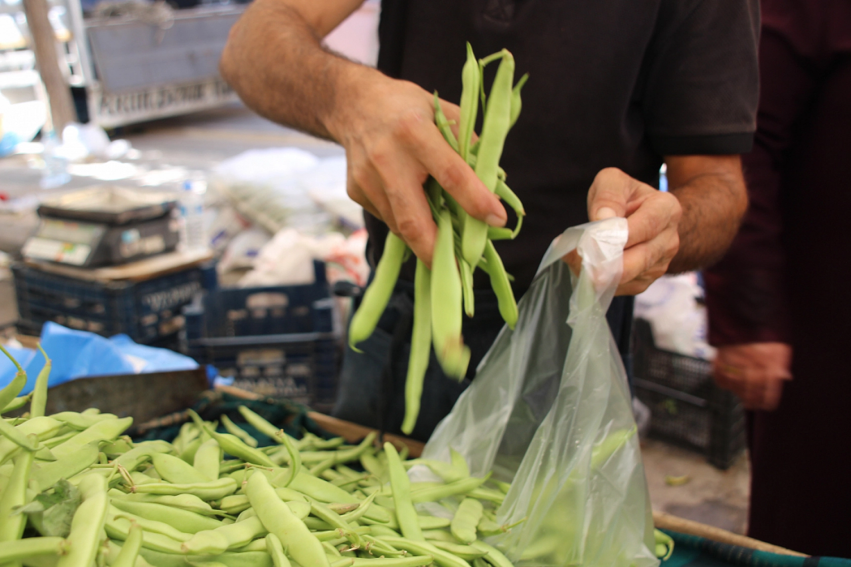 Malatyalılar Semt Pazarlarına yöneliyor! Peki, Meyve ve Sebze Ne Kadar? Fiyatlar Düştü Mü? İşte Güncel Cuma Pazarı Fiyatları...