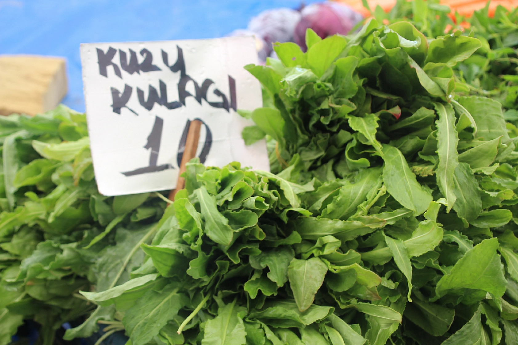 Malatya Pazarı Dolu: Sebze Fiyatları Düşerken Meyvede Vatandaşa Soğuk Duş