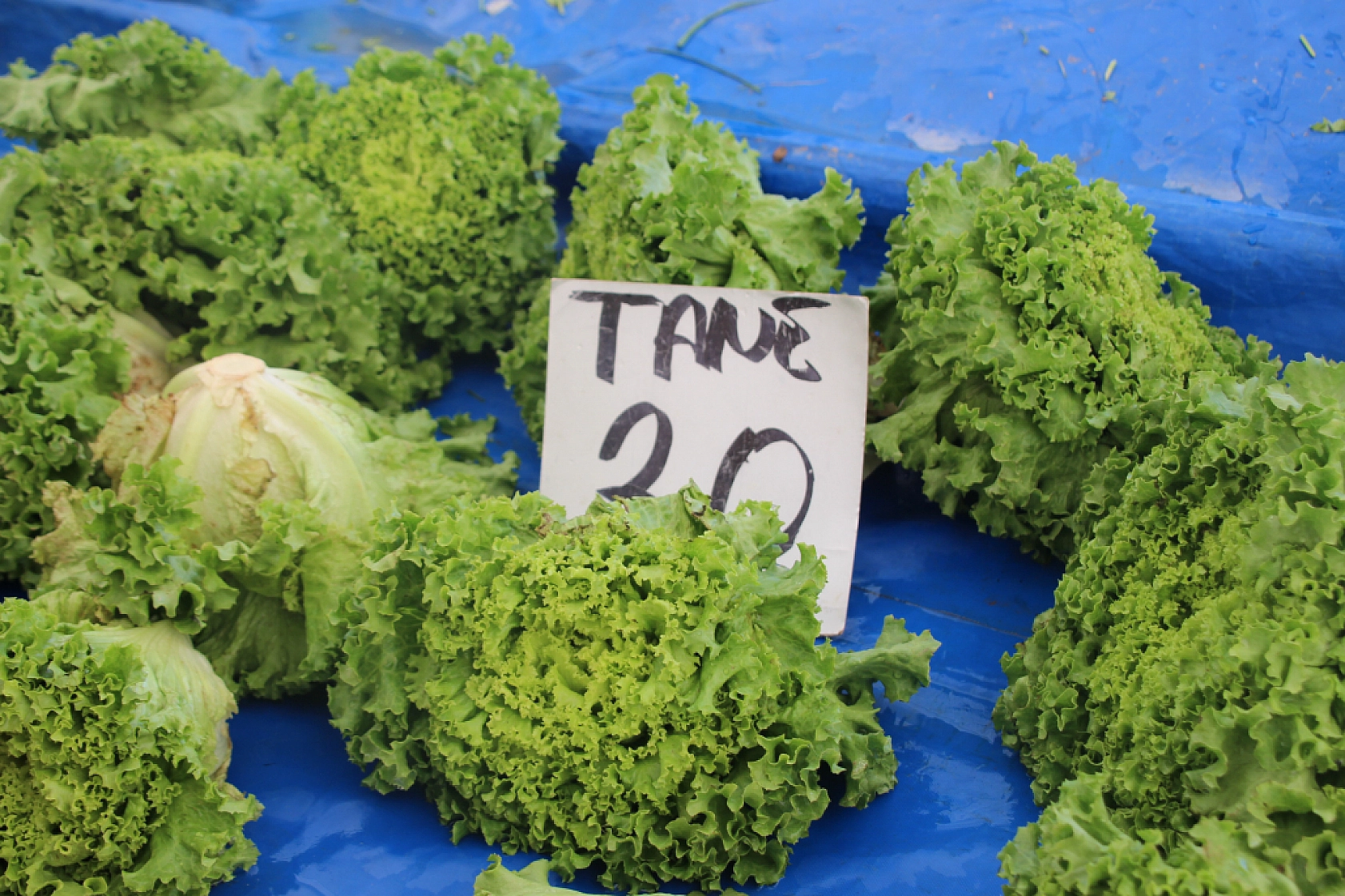 Malatya Pazarı Dolu: Sebze Fiyatları Düşerken Meyvede Vatandaşa Soğuk Duş