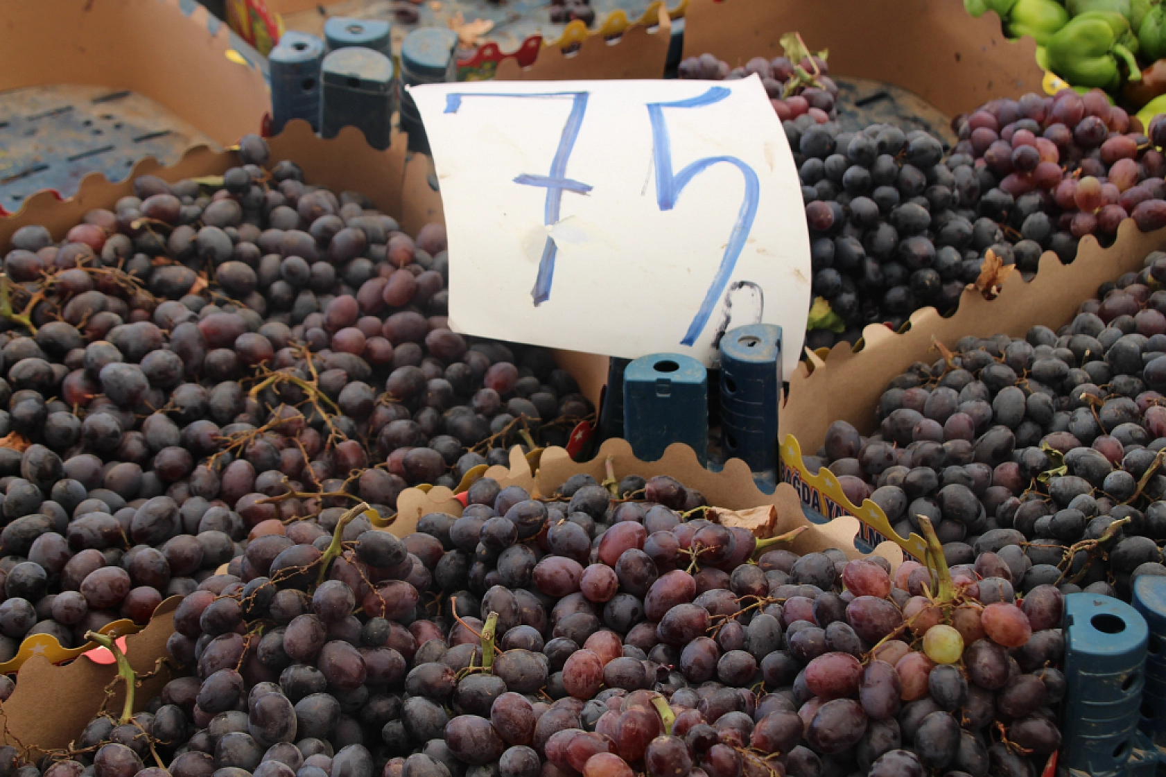 Malatya Pazarı Dolu: Sebze Fiyatları Düşerken Meyvede Vatandaşa Soğuk Duş