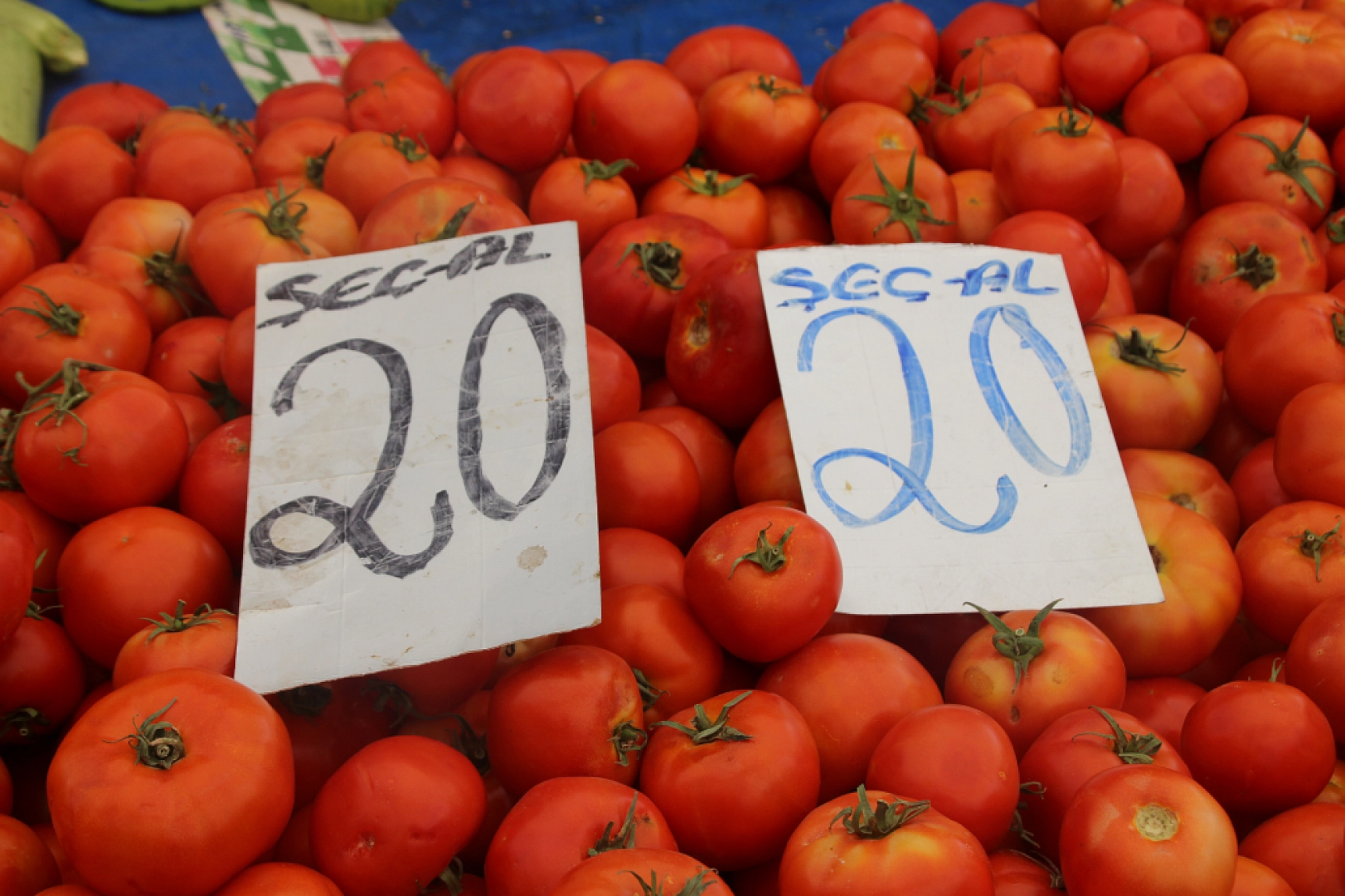 Malatya Pazarı Dolu: Sebze Fiyatları Düşerken Meyvede Vatandaşa Soğuk Duş