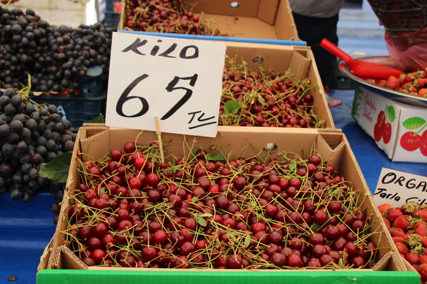 Malatyalılar Semt Pazarlarına yöneliyor! Peki, Meyve ve Sebze Ne Kadar? Fiyatlar Düştü Mü? İşte Güncel Cuma Pazarı Fiyatları...