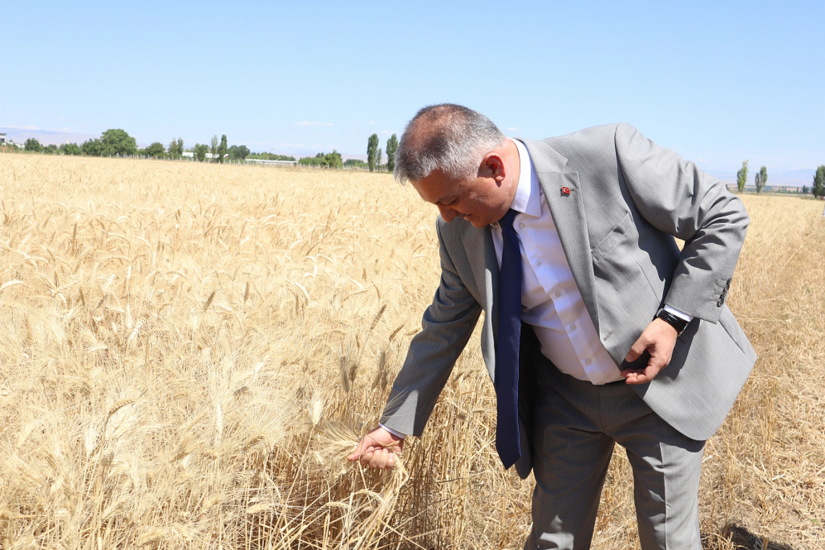 Öğrenciler ekti, tonlarca rekolte bekleniliyor!