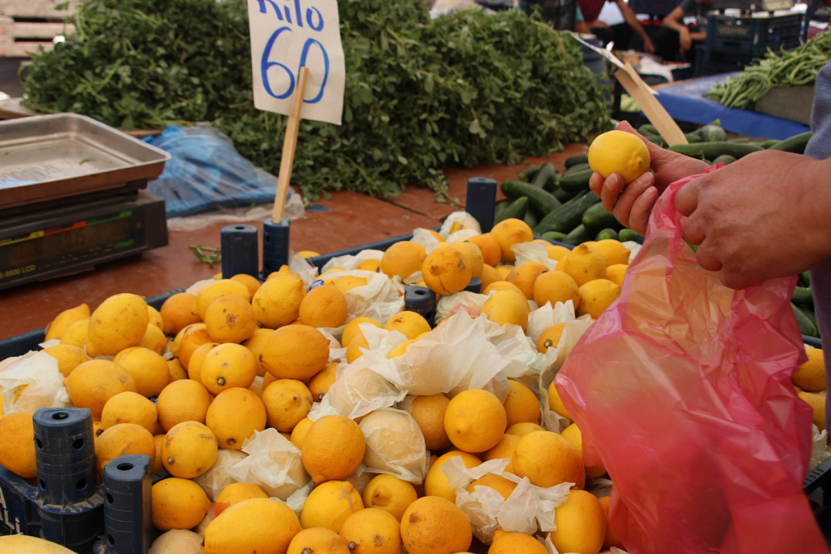 Malatyalılar Semt Pazarlarına yöneliyor! Peki, Meyve ve Sebze Ne Kadar? Fiyatlar Düştü Mü? İşte Güncel Cuma Pazarı Fiyatları...
