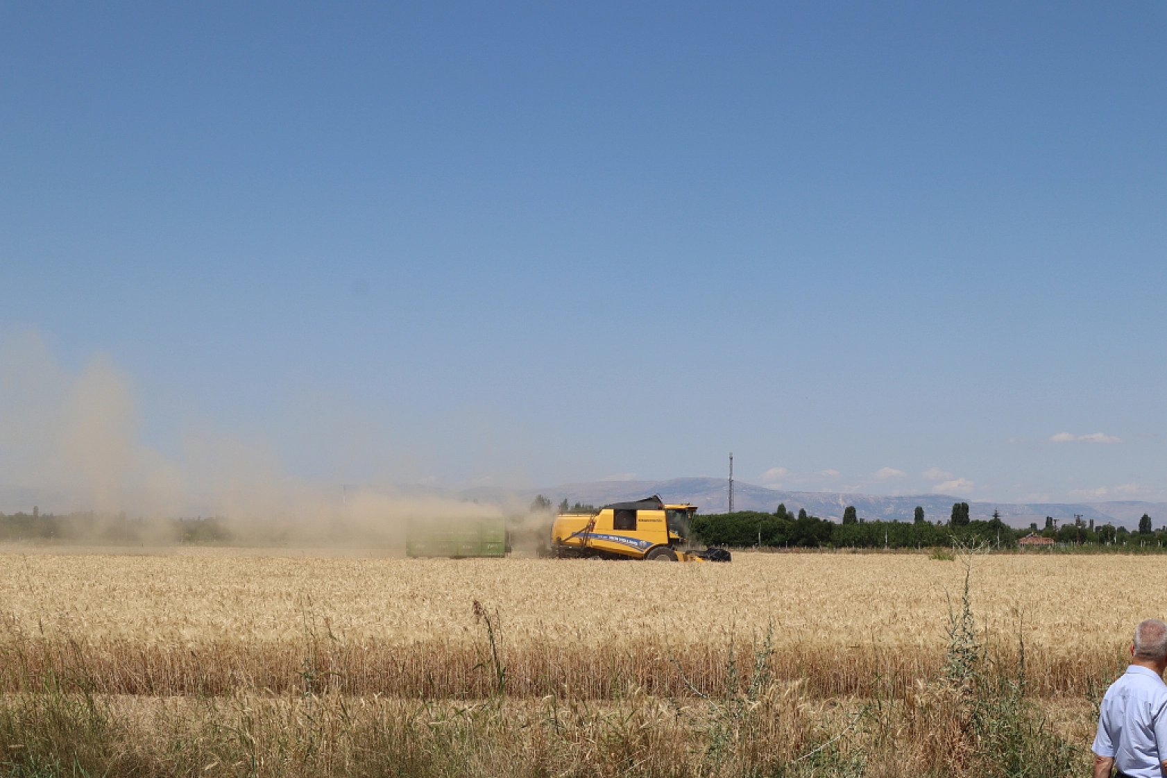 Öğrenciler ekti, tonlarca rekolte bekleniliyor!
