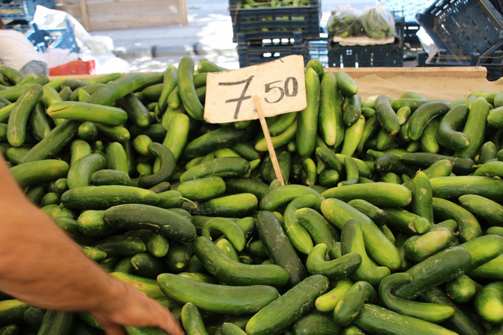 Malatyalılar Semt Pazarlarına yöneliyor! Peki, Meyve ve Sebze Ne Kadar? Fiyatlar Düştü Mü? İşte Güncel Cuma Pazarı Fiyatları...