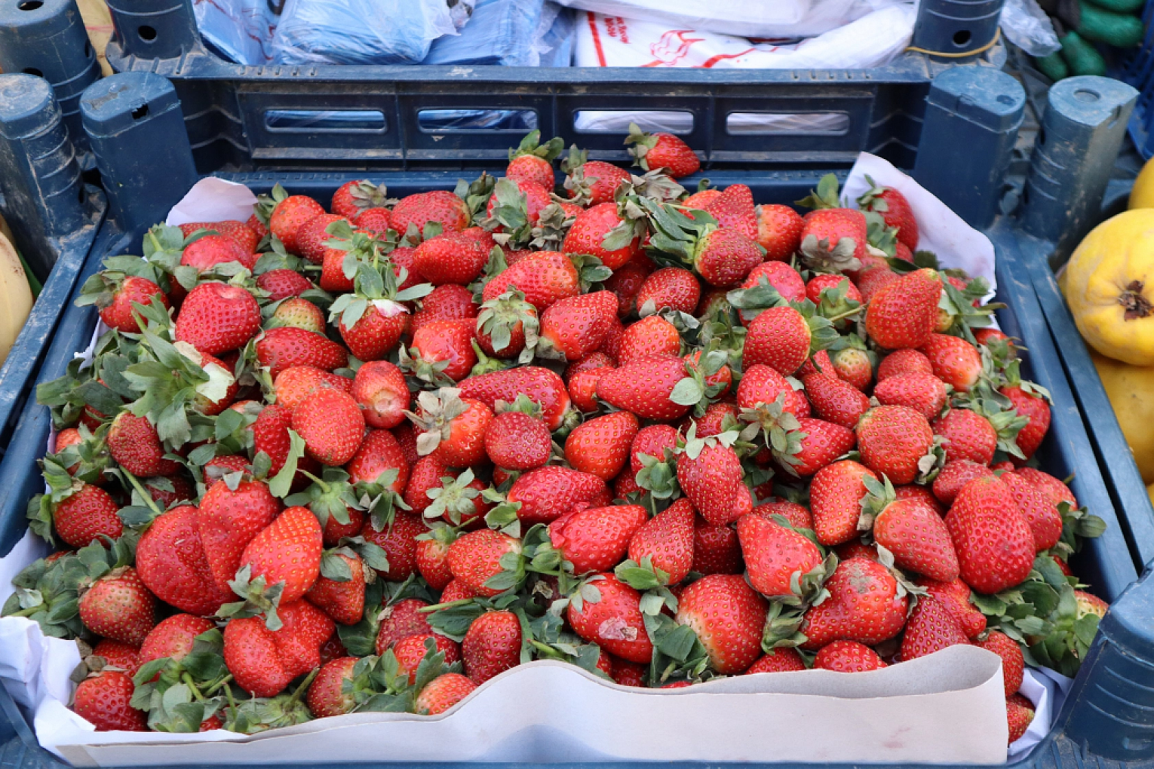 Cebini Düşünen Malatyalılar, Semt Pazarını Tercih Ediyor! İşte Güncel Perşembe Pazarı Fiyatları..