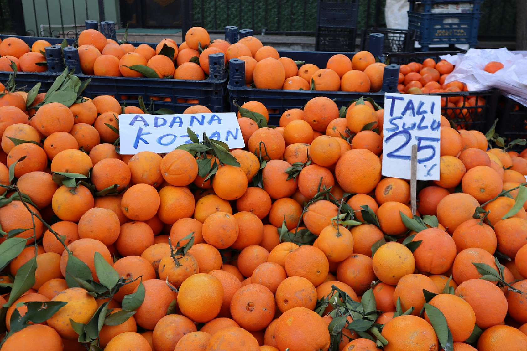 Cebini Düşünen Malatyalılar, Semt Pazarını Tercih Ediyor! İşte Güncel Perşembe Pazarı Fiyatları..