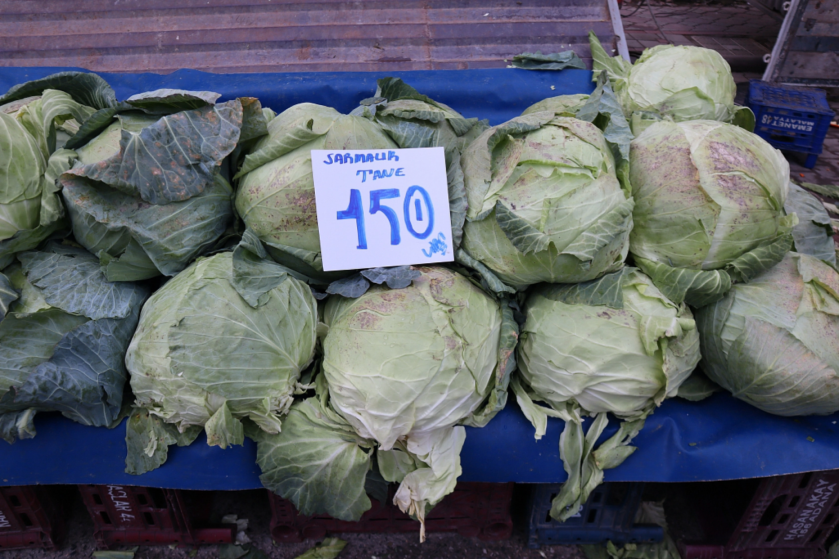 Cebini Düşünen Malatyalılar, Semt Pazarını Tercih Ediyor! İşte Güncel Perşembe Pazarı Fiyatları..