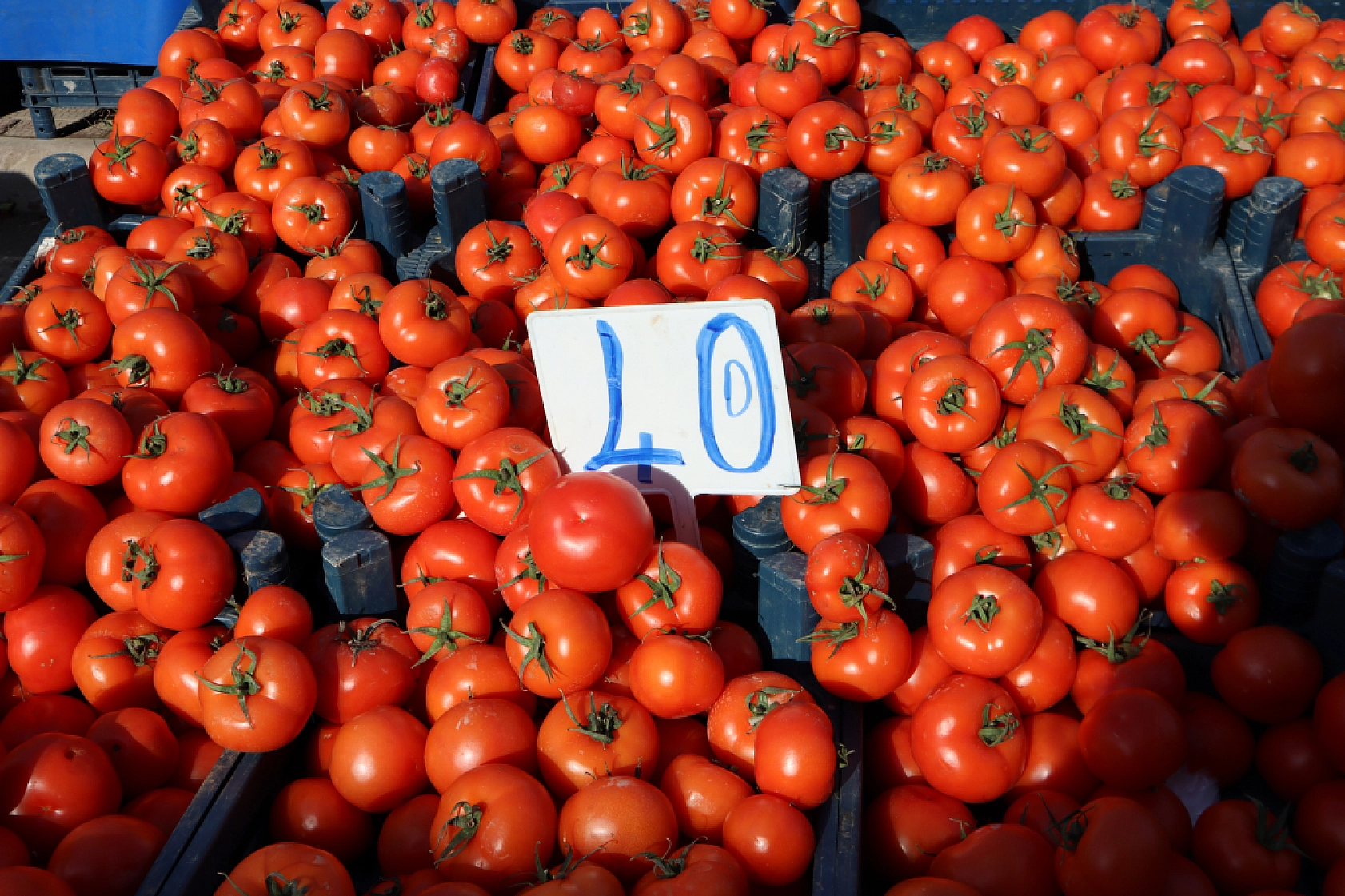 Cebini Düşünen Malatyalılar, Semt Pazarını Tercih Ediyor! İşte Güncel Perşembe Pazarı Fiyatları..