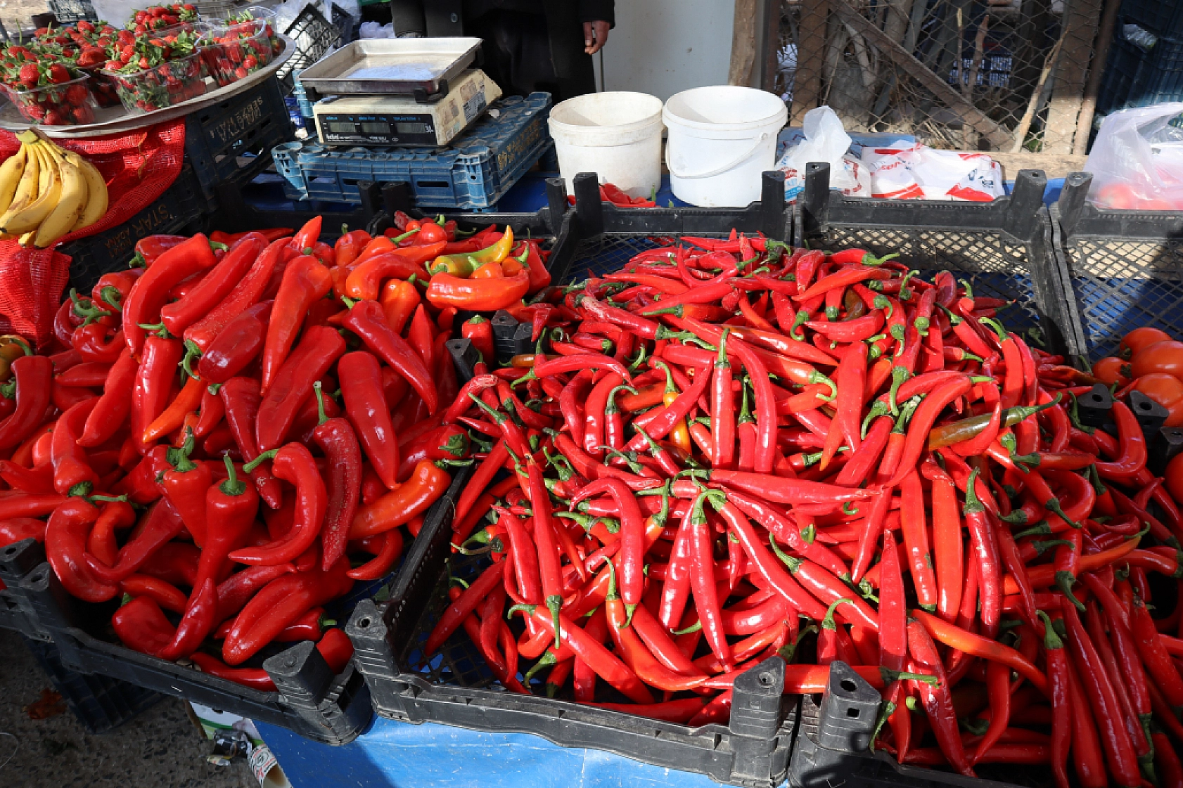 Cebini Düşünen Malatyalılar, Semt Pazarını Tercih Ediyor! İşte Güncel Perşembe Pazarı Fiyatları..