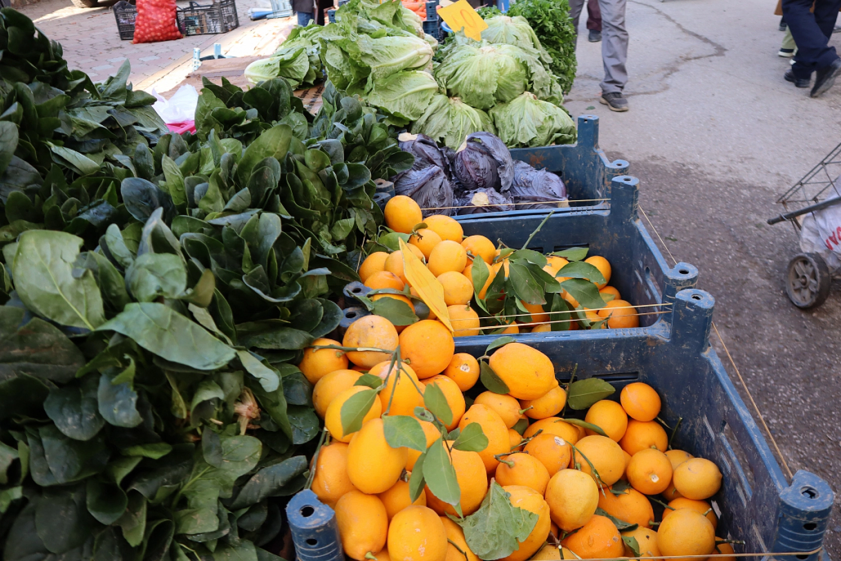 Cebini Düşünen Malatyalılar, Semt Pazarını Tercih Ediyor! İşte Güncel Perşembe Pazarı Fiyatları..