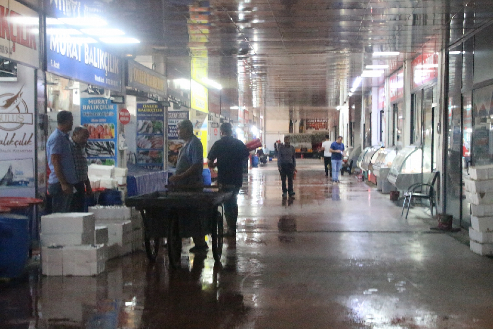 Malatya'da Balık Fiyatları Şaşırttı: İşte Güncel Liste