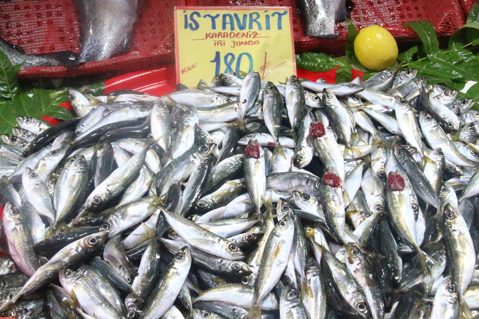 Malatya'da Balık Fiyatları Şaşırttı: İşte Güncel Liste