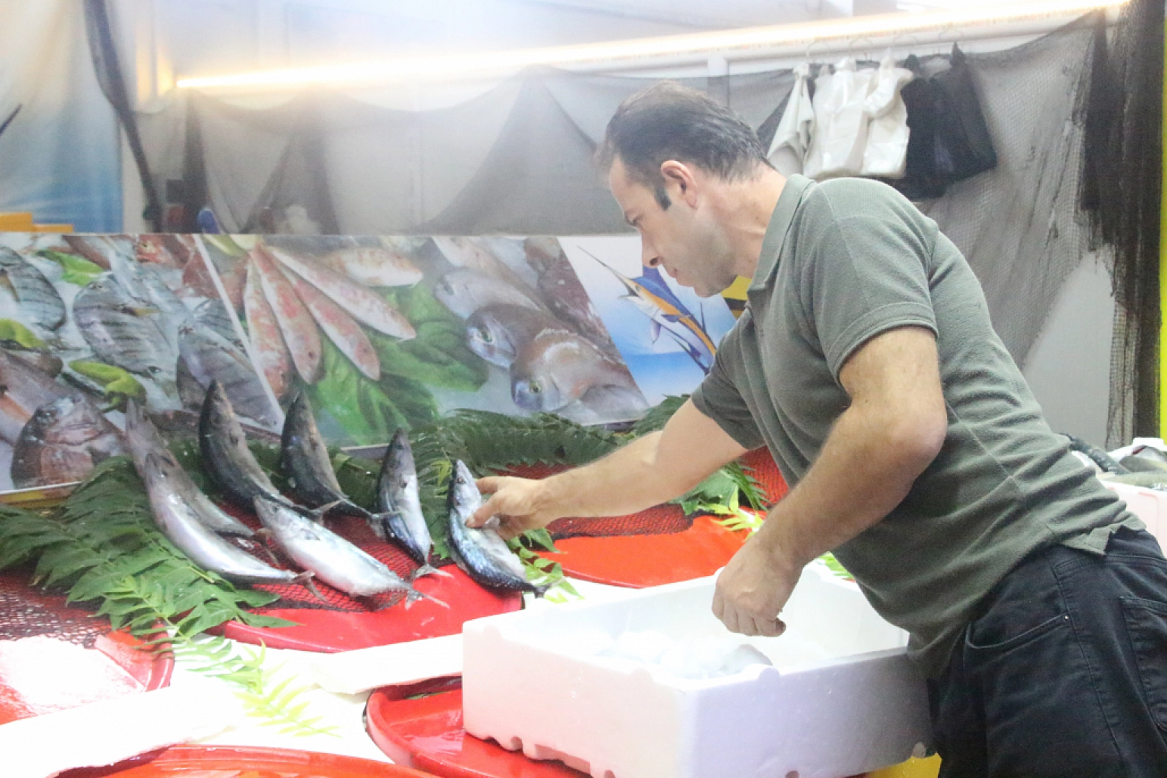 Malatya'da Balık Fiyatları Şaşırttı: İşte Güncel Liste