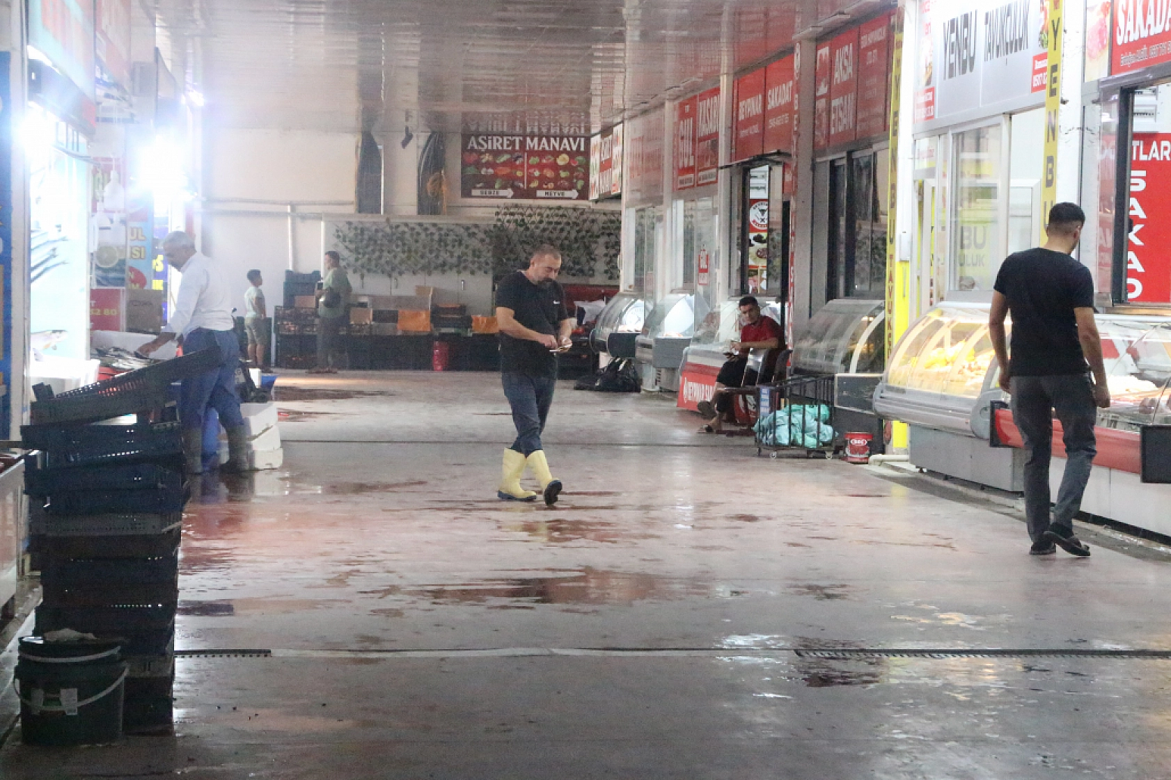 Malatya'da Balık Fiyatları Şaşırttı: İşte Güncel Liste