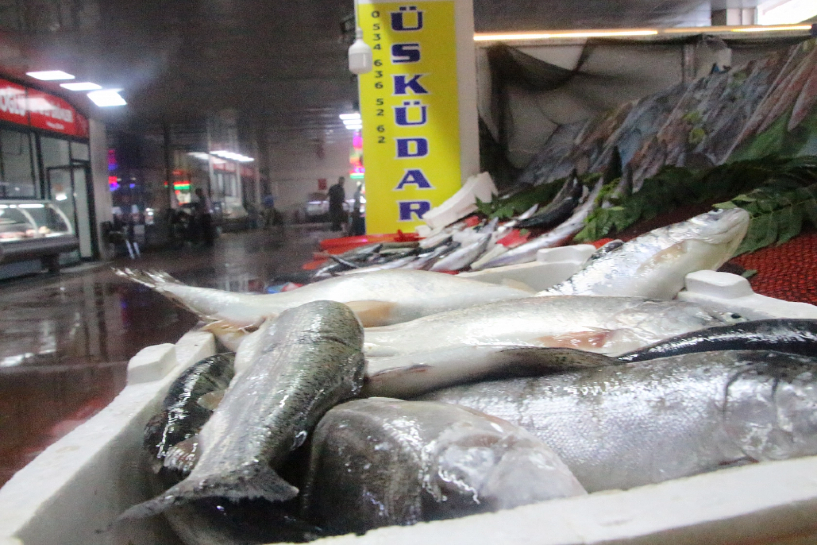 Malatya'da Balık Fiyatları Şaşırttı: İşte Güncel Liste