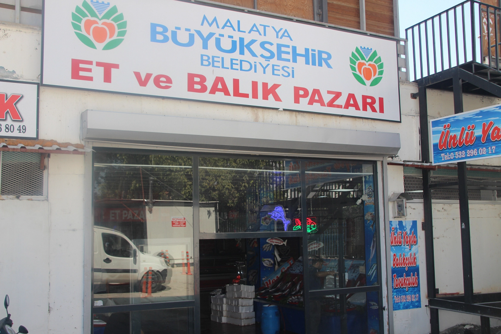 Malatya'da Balık Fiyatları Şaşırttı: İşte Güncel Liste